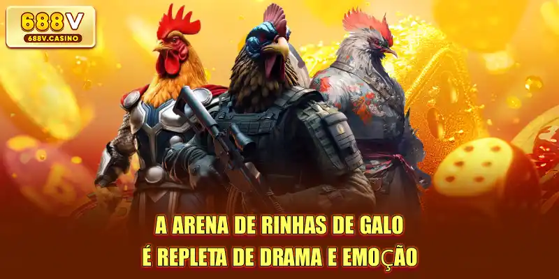 A arena de rinhas de galo é repleta de drama e emoção